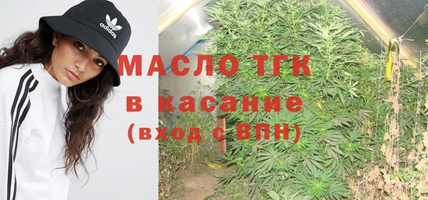 крисы Алзамай