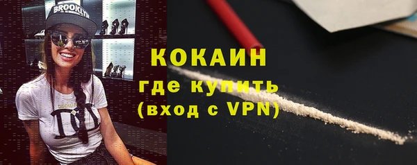 крисы Алзамай