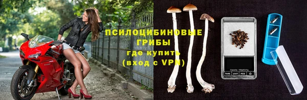 крисы Алзамай