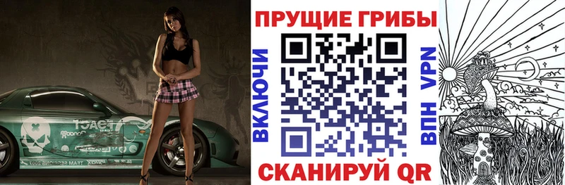 цена наркотик  Пугачёв  блэк спрут онион  Псилоцибиновые грибы мицелий 